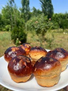 WhatsApp Image 2026-03-04 at 15.35.25